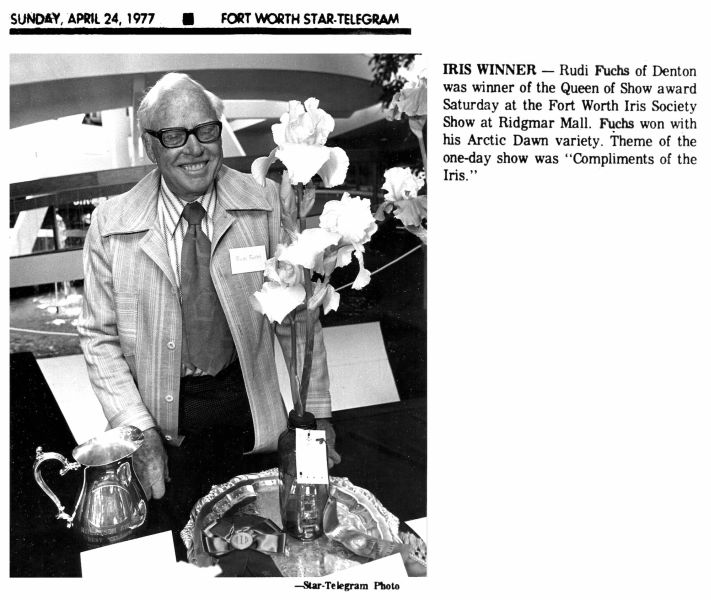 Iris Winner at the Fort Worth Iris Society Show, April 23, 1977 